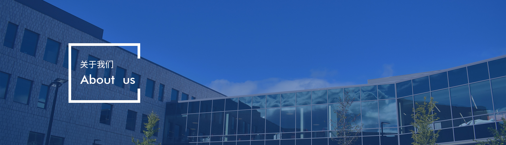 普萊斯特-關于我們